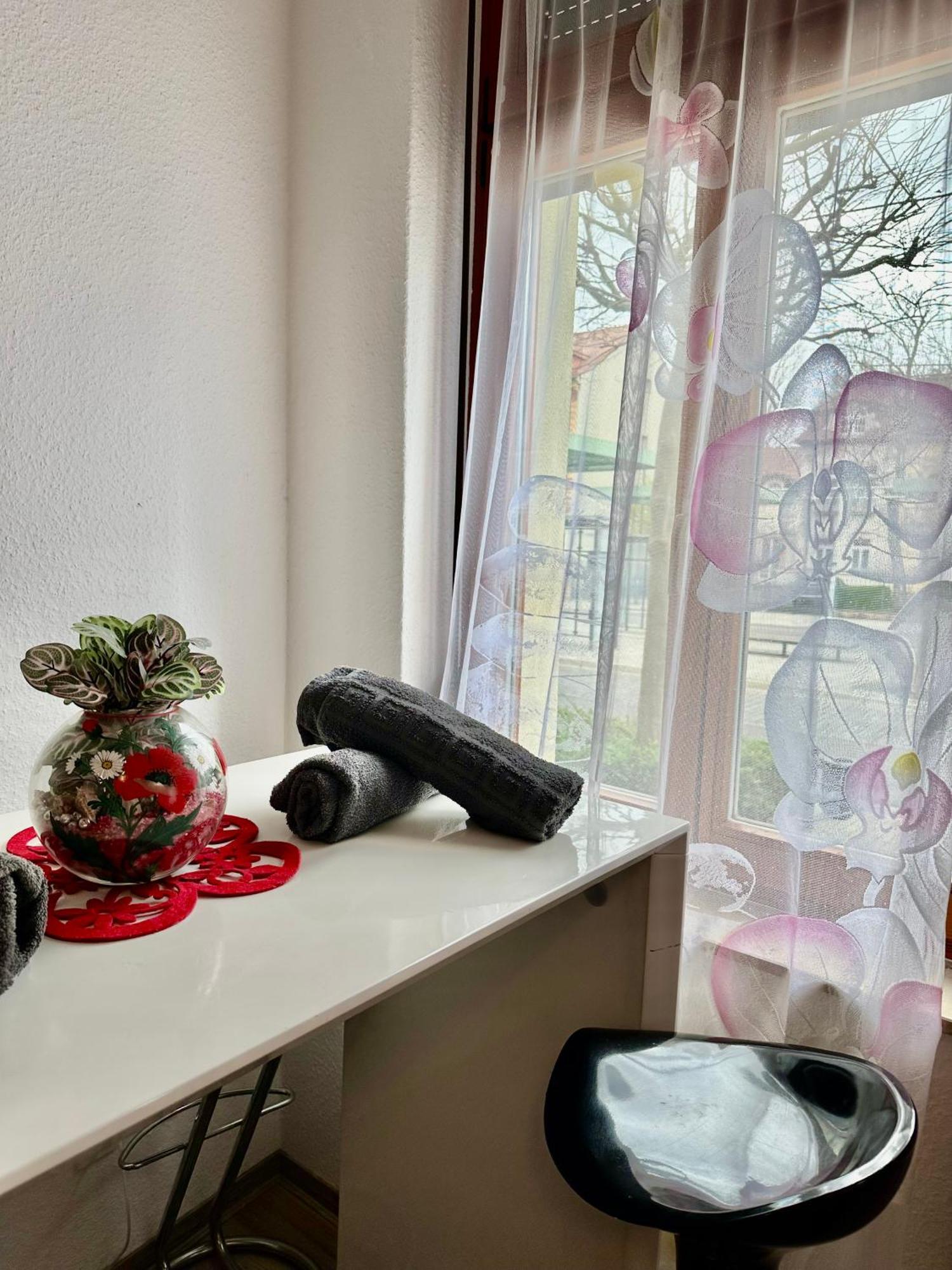 Ferienzimmer Healing Und Montuerwohnung Вайсенфельс Екстер'єр фото